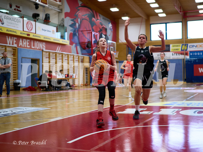 Basketball Superliga 2024/25, SLWU14 Traiskirchen Lionesses vs. Gratkorn Scorpions



