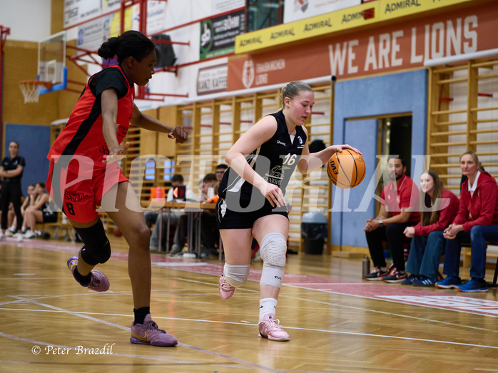 Basketball Superliga 2024/25, SLWU16 Traiskirchen Lionesses vs. BBC Nord Dragons


