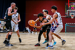 Basketball Zweite Liga 2024/25, Grunddurchgang 15.Runde Vienna United vs. Mattaersburg Rocks


