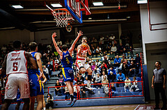 Basketball, Win2Day Superliga 2024/25, Grunddurchgang 4.Runde, Traiskirchen Lions, St. Pölten, Benedikt Güttl (7)