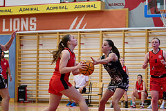 Basketball Superliga 2024/25, SLMU16 Traiskirchen Lionesses vs. VKL Vikings Kammer


