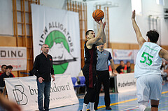 Basketball Zweite Liga 2024/25, Grunddurchgang 19.Runde Union Deutsch Wagram Aligators vs. Mistelbach Mustangs


