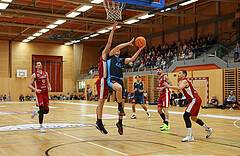 Basketball Zweite Liga 2024/25, Grunddurchgang 15.Runde Mistelbach Mustangs vs. Vienna Timberwolves


