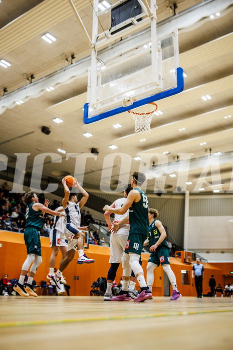 Basketball, Basketball Zweite Liga 2024/25, Grunddurchgang 12.Runde, Vienna Timberwolves, Dornbirn Lions, 