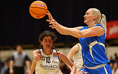 Basketball Damen Superliga 2023/24, Grunddurchgang 11.Runde Basket Flames vs. DBB Wels


