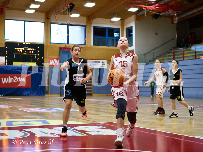 Basketball Superliga 2024/25, SLWU14 Traiskirchen Lionesses vs. DBK Steyrer Witches


