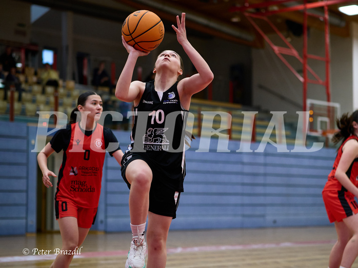 Basketball Superliga 2024/25, SLWU16 Traiskirchen Lionesses vs. BBC Nord Dragons



