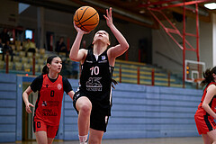 Basketball Superliga 2024/25, SLWU16 Traiskirchen Lionesses vs. BBC Nord Dragons


