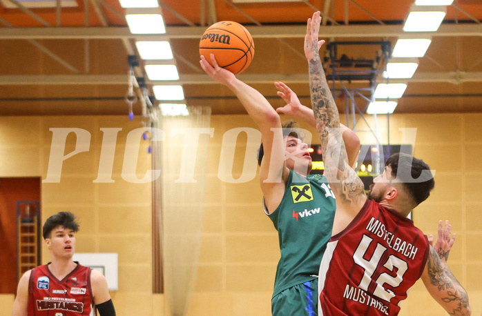 Basketball Zweite Liga 2023/24, Grunddurchgang 16.Runde Mistelbach Mustangs vs. Dornbirn Lions


