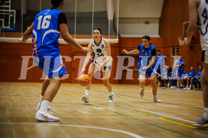 Basketball, Win2Day Basketball Damen Superliga 2023/24, Grunddurchgang 2.Runde, Vienna Timberwolves, DBB LZ OÖ, Melanie Fischer (14)
