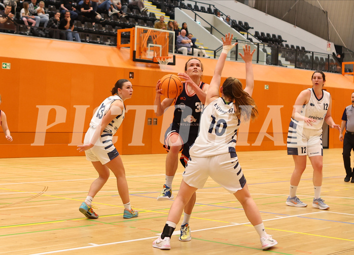Basketball Damen Zweite Liga 2024/25, Playoffs, Platz 3 BC Vienna 87 vs. TI Innsbruck


