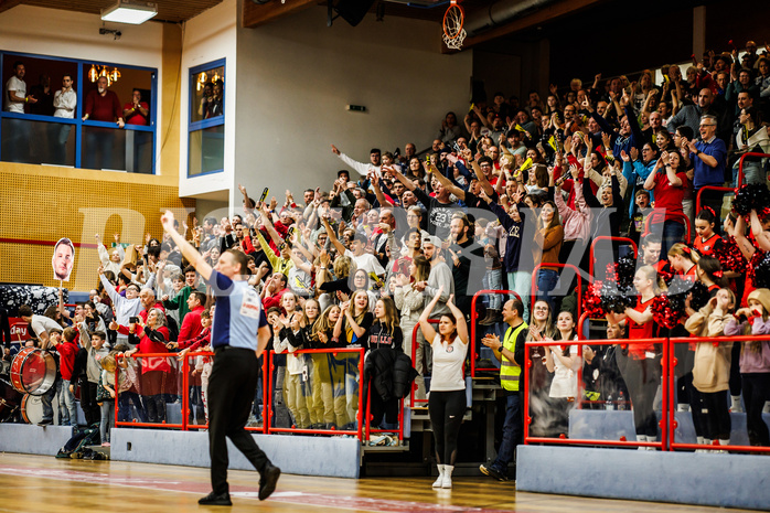 Basketball, win2day Basketball Superliga 2023/24, Grunddurchgang 21.Runde, Traiskirchen Lions, Flyers Wels, Traiskirchen Lions Fans