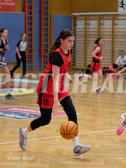 Basketball Superliga 2024/25, SLMU16 Traiskirchen Lionesses vs. VKL Vikings Kammer


