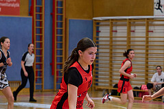 Basketball Superliga 2024/25, SLMU16 Traiskirchen Lionesses vs. VKL Vikings Kammer



