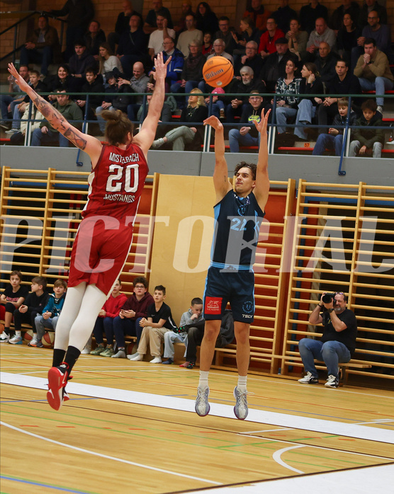 Basketball Zweite Liga 2024/25, Grunddurchgang 15.Runde Mistelbach Mustangs vs. Vienna Timberwolves