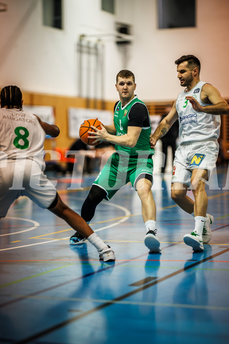 Basketball, Basketball Zweite Liga 2024/25, Grunddurchgang 16.Runde, UDW Alligators, KOS Celovec, Lorenz Windisch (8)