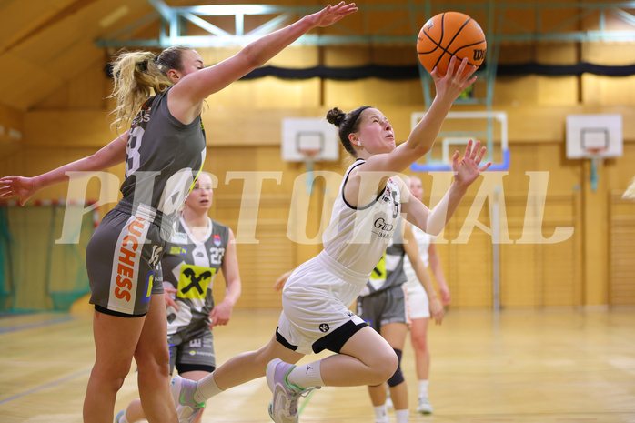 Basketball Damen Superliga 2023/24, Grunddurchgang .Runde Basket Flames vs. Duchess Klosterneuburg


