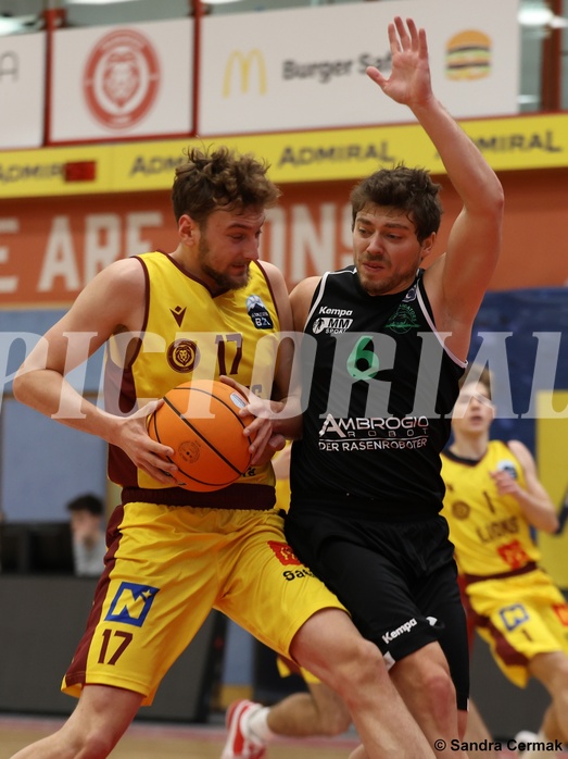 Basketball Zweite Liga 2024/25, Grunddurchgang 12.Runde Traiskirchen Lions NextGen vs. Deutsch Wagram Alligators