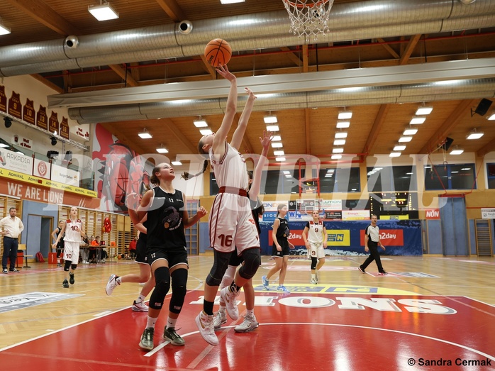 Basketball Superliga 2024/25, SLWU14 Traiskirchen Lionesses vs. ATUS Gratkorn Scorpions


