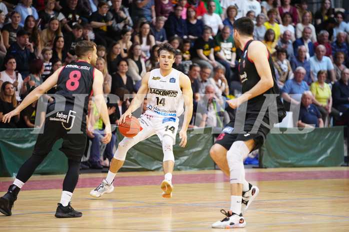 Basketball 2. Liga 2022/23, Finale Spiel 2, Guessing Blackbirds vs. Mistelbach Mustangs


