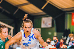 Basketball Basketball Superliga 2020/21, Grunddurchgang 6.Runde Vienna D.C. Timberwolves vs. KOS Celovec
