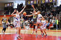 Basketball Superliga 2023/24, Grunddurchgang 3.Runde,
DBB LZ OÖ vs Klosterneuburg Duchess,

