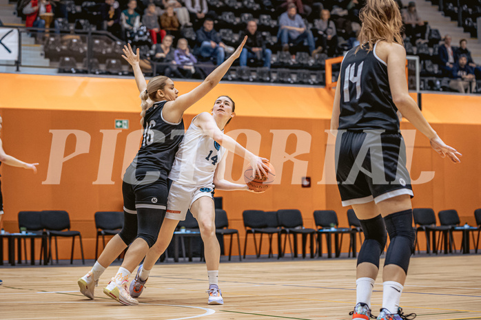 Basketball, Win2Day Basketball Damen Superliga 2022/23, Grunddurchgang 13.Runde, Vienna Timberwolves, Basket Flames, Melanie Fischer (14)