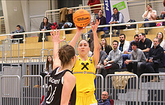 Basketball Damen Superliga 2023/24, Grunddurchgang 9.Runde SKN St. Pölten vs. Vienna United