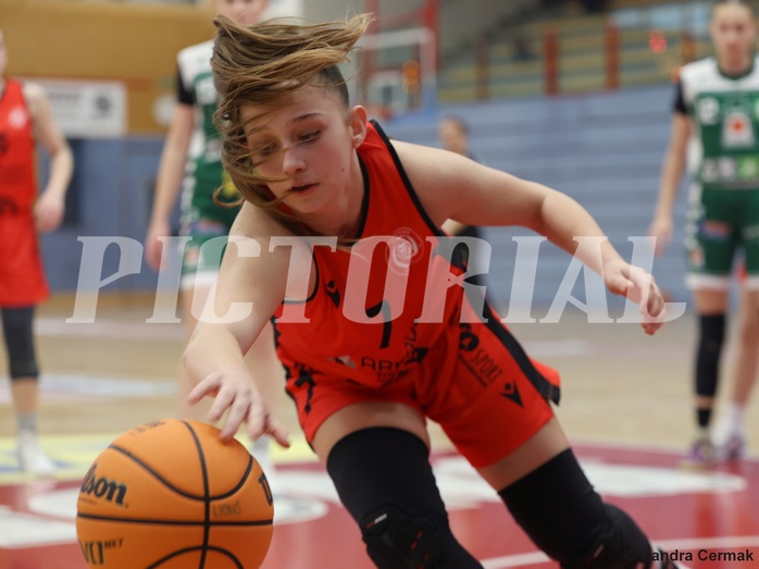 Basketball Superliga 2024/25, SLWU14 Traiskirchen Lionesses vs. UBI Graz


