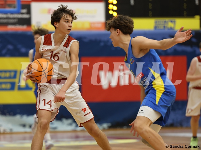 Basketball Superliga 2024/25, SLMU16 Traiskirchen Lions vs. St. Pölten


