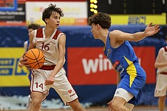 Basketball Superliga 2024/25, SLMU16 Traiskirchen Lions vs. St. Pölten


