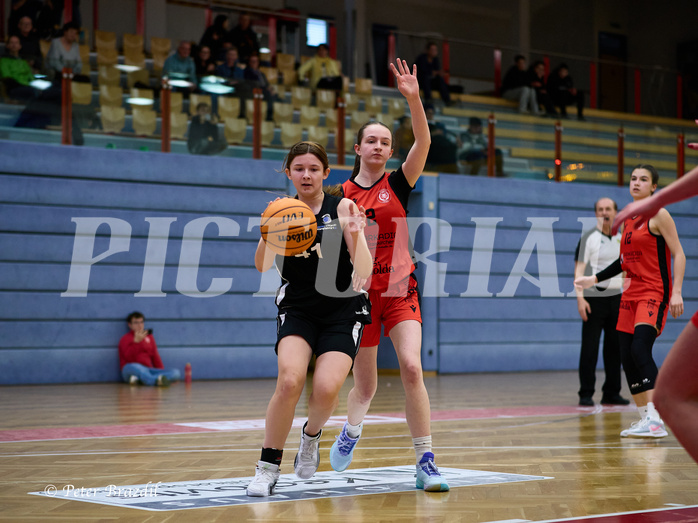 Basketball Superliga 2024/25, SLWU16 Traiskirchen Lionesses vs. BBC Nord Dragons


