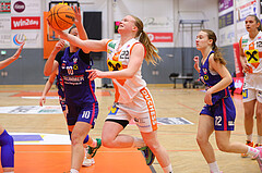 Basketball Damen Superliga 2023/24, Grunddurchgang 12.Runde BK Duchess Klosterneuburg vs. UBSC Graz