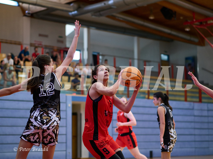 Basketball Superliga 2024/25, SLMU16 Traiskirchen Lionesses vs. VKL Vikings Kammer


