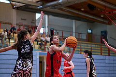 Basketball Superliga 2024/25, SLMU16 Traiskirchen Lionesses vs. VKL Vikings Kammer


