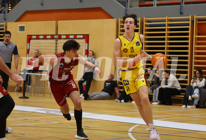 Basketball Zweite Liga 2024/25, Grunddurchgang 9.Runde Mistelbach Mustangs vs. Trasikirchen NextGen


