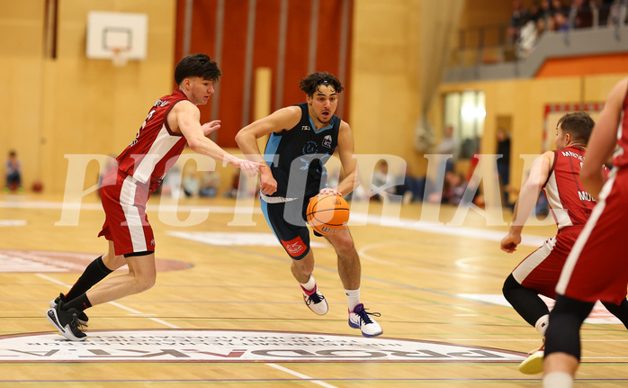 Basketball Zweite Liga 2024/25, Grunddurchgang 15.Runde Mistelbach Mustangs vs. Vienna Timberwolves