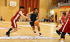 Basketball Zweite Liga 2024/25, Grunddurchgang 15.Runde Mistelbach Mustangs vs. Vienna Timberwolves


