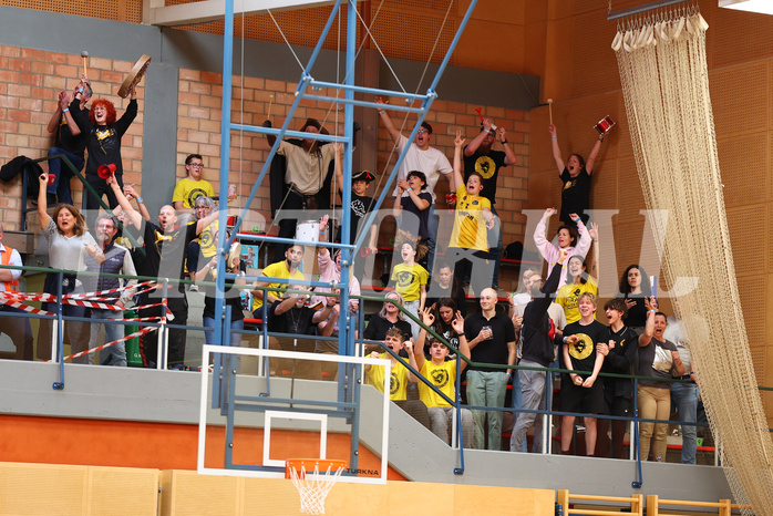 Basketball Zweite Liga 2024/25, Playoffs, Finale Spiel 1 Mistelbach Mustangs vs. Wörthersee Piraten
Basketball Zweite Liga 2024/25, Playoffs, Finale Spiel 1 Mistelbach Mustangs vs. Wörthersee Piraten