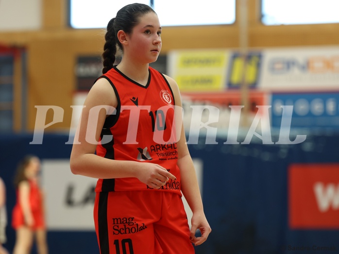 Basketball Superliga 2024/25, SLWU16 Traiskirchen Lionesses vs. DBK Steyrer Witch Cadets


