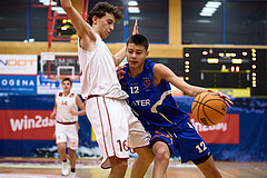Basketball Superliga 2024/25, SLMU16 Traiskirchen Lionesses vs. FCN Baskets Wels


