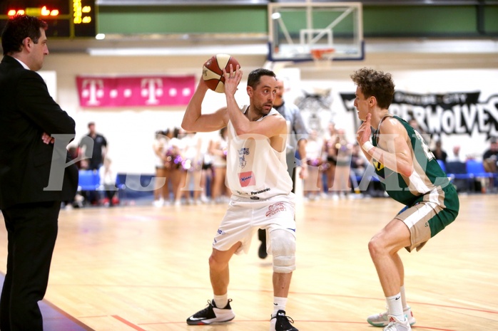 Basketball 2.Bundesliga 2016/17, Grundurchgang 19.Runde D.C. Timberwolves vs. Dornbild Lions