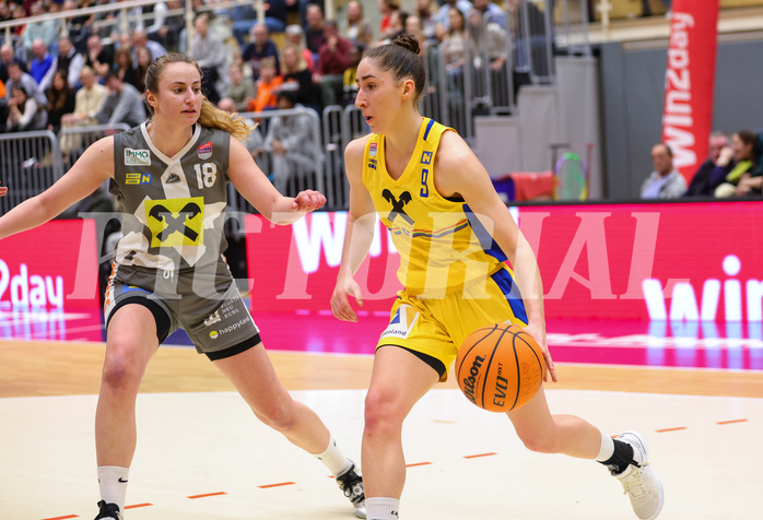 Basketball Austria Cup 2023/24, Finale SKN St. Pölten vs. Klosterneuburg Duchess


