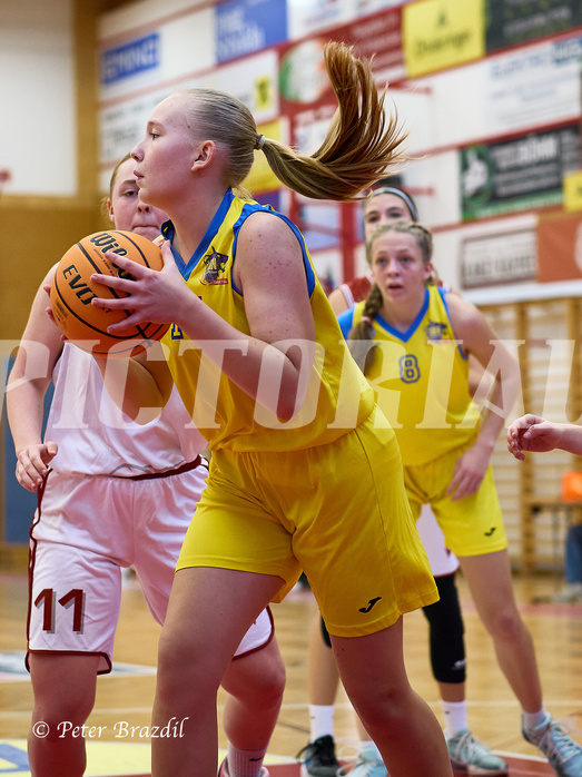 Basketball Superliga 2024/25, SLWU16 Traiskirchen Lionesses vs. UBBC Herzogenburg


