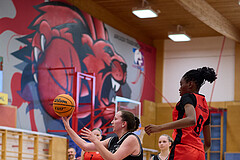 Basketball Superliga 2024/25, SLMU16 Traiskirchen Lionesses vs. VKL Vikings Kammer


