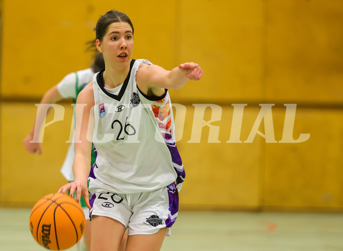Basketball Damen Superliga 2023/24, Grunddurchgang 13.Runde Vienna United vs. UBI Graz