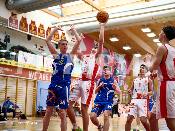 Basketball Superliga 2024/25, SLMU16 Traiskirchen Lions vs. FCN Baskets Wels



