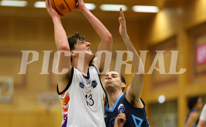 Basketball Zweite Liga 2024/25, Grunddurchgang 22.Runde Vienna United vs. Vienna Timberwolves


