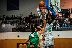 Basketball, Basketball Zweite Liga 2024/25, Grunddurchgang 16.Runde, UDW Alligators, KOS Celovec, Steven Kaltenbrunner (8)