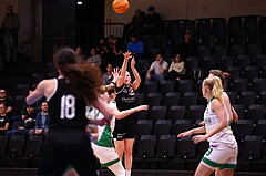 02.03.2024, Graz, Raiffeisen Sportpark, Basketball Damen Superliga 2023/24, Grunddurchgang 14.Runde, UBI Holding Graz - Basket Flames Women ,  